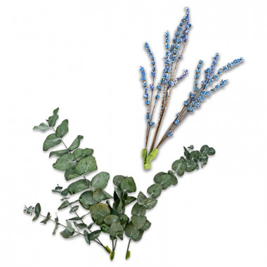 Torkade blommor - eukalyptus och blå-lila lavendel